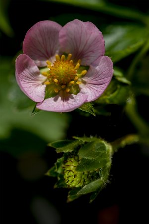 20220501-131425-0250-1 Kopie.jpg