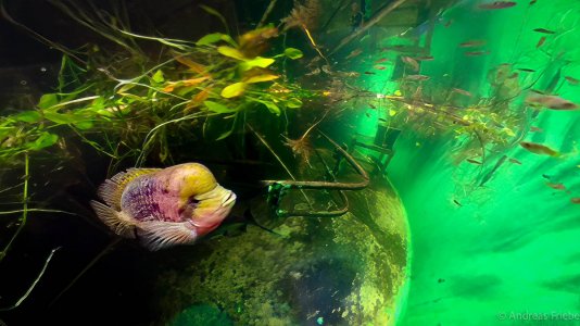 VID_20220507_135027_00_098_2022-05-07_19-14-10_screenshot.jpg VID_20220507_135027_00_098_2022-05-07_19-14-10_screenshot.jpg