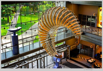 06 - Stary Browar Posen - 1000.jpg