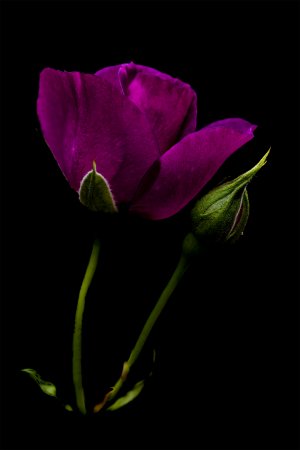 20220526-141908-0175-1 Kopie.jpg