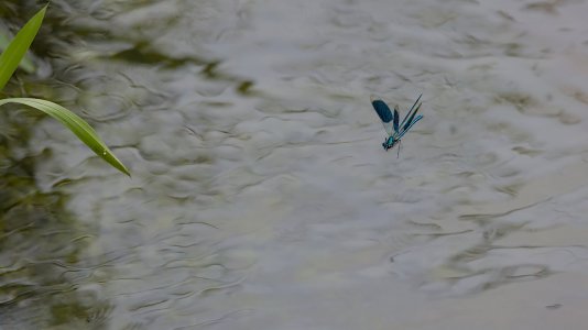 Polder Lüsche_3V5A2357()-20220612-2k.jpg