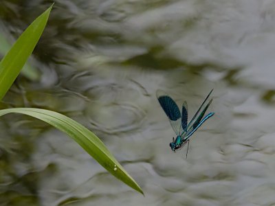 Polder Lüsche_3V5A2357()-20220612-2k.jpg