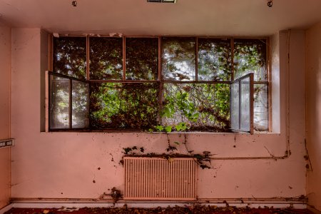 20220601-191625-0185-HDR(7)ps Kopie.jpg