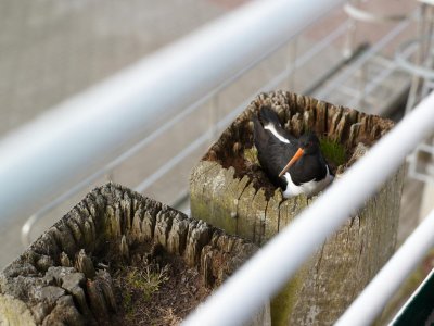 Bild - 6.jpg Bild - 6.jpg