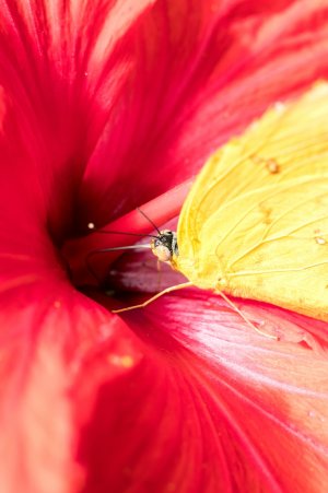 comp__MG_7470.jpg comp__MG_7470.jpg