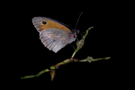 20200711-181935-0381-1 Kopie.jpg