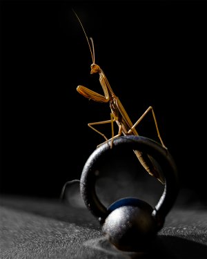 20150829-102124-0001-1 Kopie.jpg