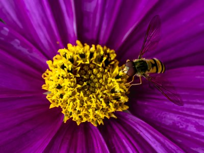 20130723-183738-0053-1schnitt Kopie.jpg