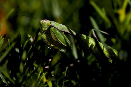 20190921-143446-0311-1 Kopie.jpg