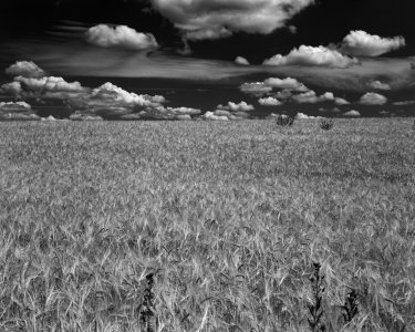 20220626_Delta 100 Rotfilter Polfilter +1_1.jpg