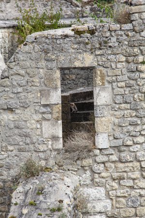 20160821-160030-0250-1 Kopie.jpg