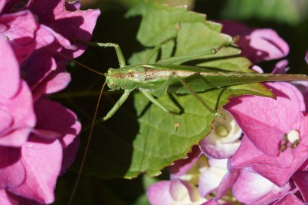 DSC00647.JPG DSC00647.JPG