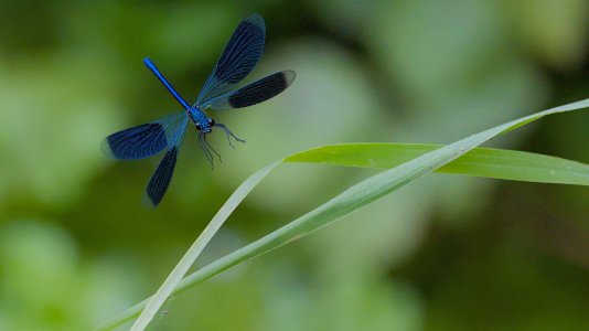 Polder Lüsche_3V5A3583()-20220713.jpg
