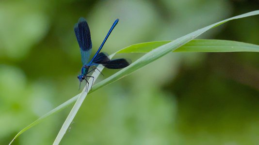 Polder Lüsche_3V5A3585()-20220713.jpg