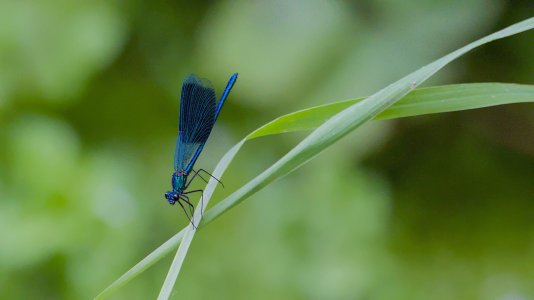 Polder Lüsche_3V5A3587()-20220713.jpg