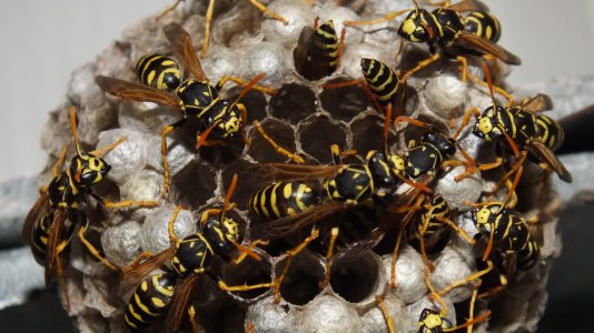 DSCF4626a.jpg DSCF4626a.jpg