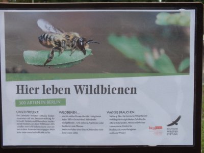 DSCF4671a.jpg DSCF4671a.jpg