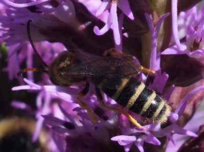 DSCF4646a.jpg DSCF4646a.jpg