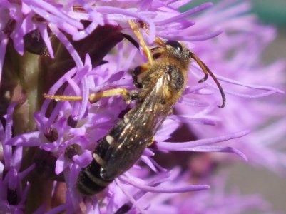 DSCF4647a.jpg DSCF4647a.jpg