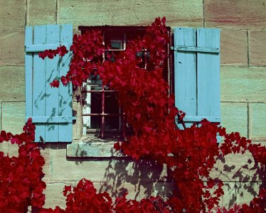 Farbkontrast_DQH0021.jpg Farbkontrast_DQH0021.jpg