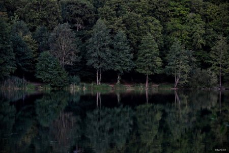 Holzmaar -Eifel1-01.jpeg