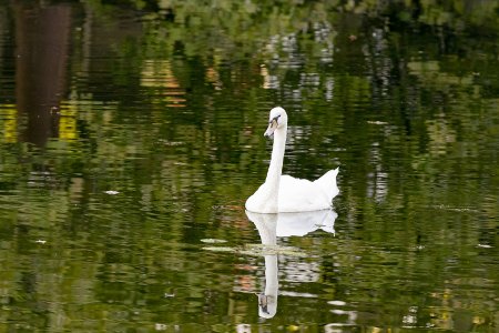 20220825-184449-0156-2 Kopie.jpg