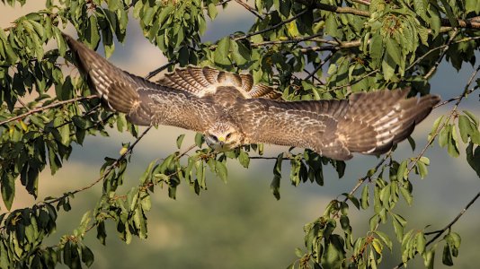 Löhne_3V5A5926()-20220827.jpg Löhne_3V5A5926()-20220827.jpg