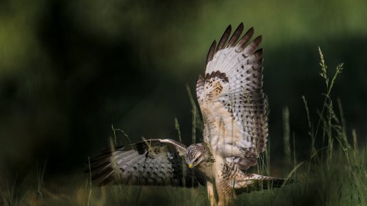 Löhne_3V5A5934()-20220827.jpg Löhne_3V5A5934()-20220827.jpg