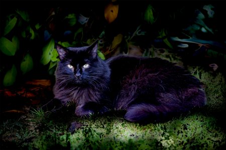 20170923-165304-0060-1 Kopie.jpg 20170923-165304-0060-1 Kopie.jpg