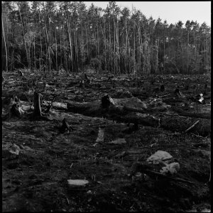 Analoge Scans6562_Panorama.jpg