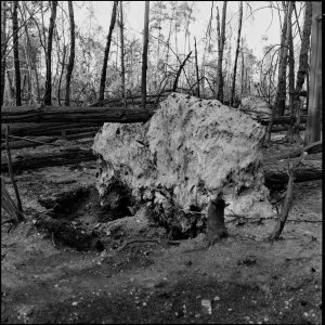 Analoge Scans6566_Panorama.jpg