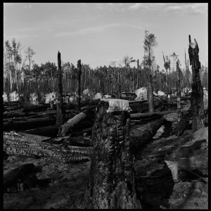 Analoge Scans6568_Panorama.jpg