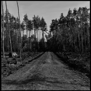 Analoge Scans6571_Panorama.jpg