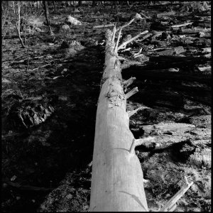 Analoge Scans6575_Panorama.jpg