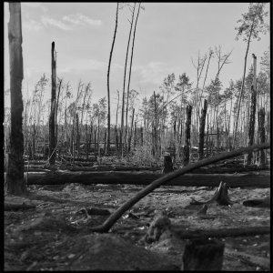 Analoge Scans6577_Panorama.jpg