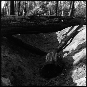 Analoge Scans6579_Panorama.jpg