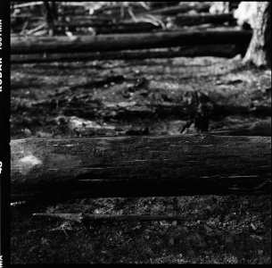 Analoge Scans6583_Panorama.jpg