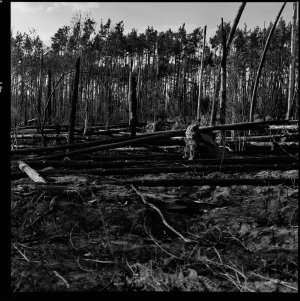 Analoge Scans6587_Panorama.jpg