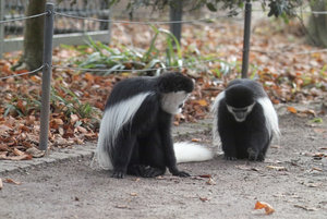 IMG02441.jpg IMG02441.jpg