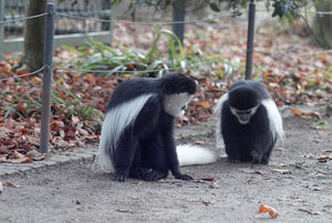 IMG02441a.jpg IMG02441a.jpg