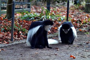 IMG02441a.jpg IMG02441a.jpg