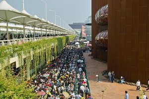 SDIM9971.jpg SDIM9971.jpg