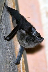 sample4211.jpg sample4211.jpg