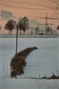 Sundown-SD15 - SDIM261.jpg