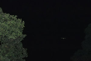 Frankreich 2010 016s.jpg Frankreich 2010 016s.jpg