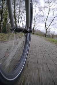 rad2_K200017.jpg rad2_K200017.jpg