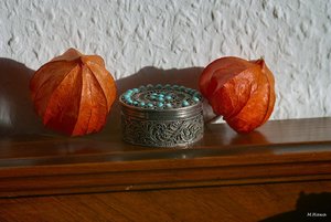 08_SDIM7203_F8.jpg 08_SDIM7203_F8.jpg