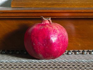 10_SDIM7215_corp.jpg 10_SDIM7215_corp.jpg