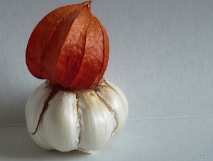 12_SDIM7233_b.jpg 12_SDIM7233_b.jpg