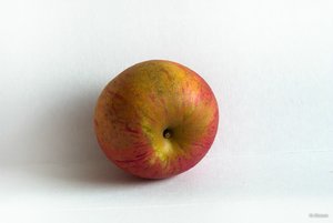 13_SDIM7235_F.jpg 13_SDIM7235_F.jpg